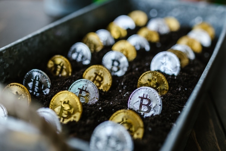 O Bitcoin morreu "só" 27 vezes em 2022