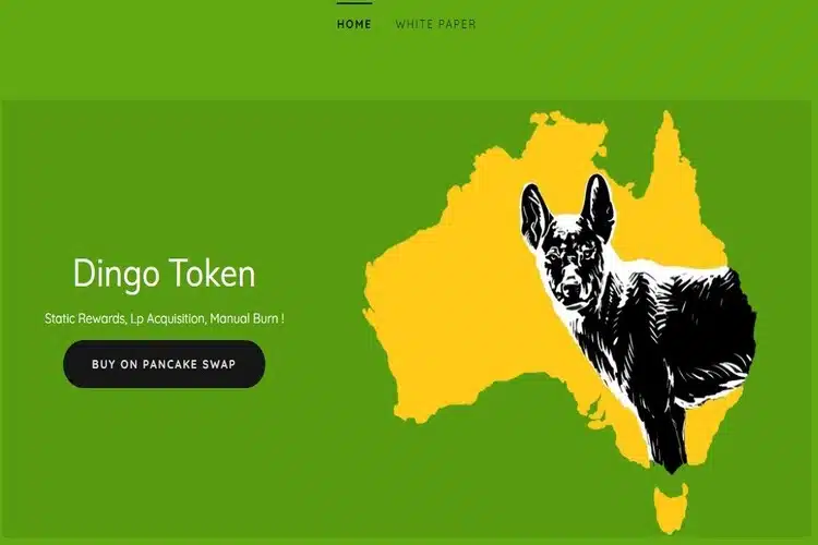 Dingo Token: Empresa alerta sobre golpe escondido dentro de contrato inteligente