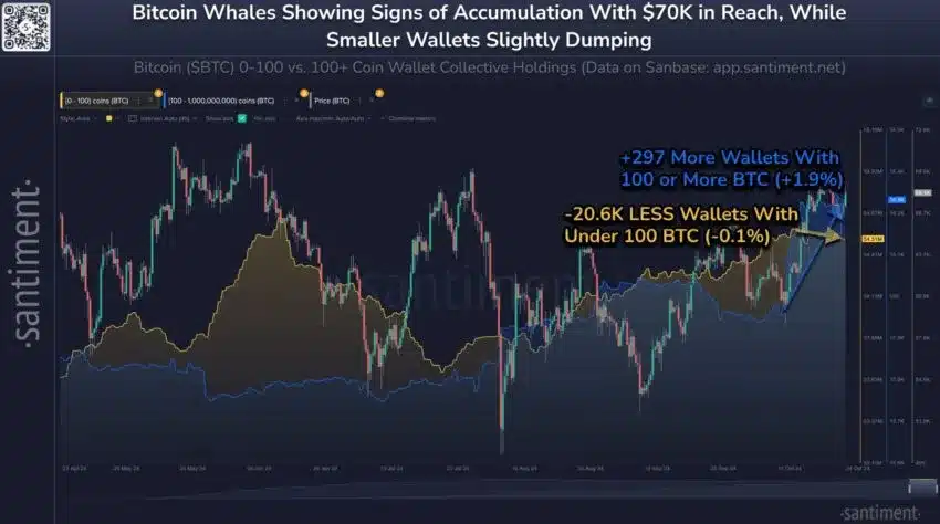 Imagem: Gráfico Bitcoin