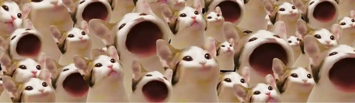 Memecoins Promissoras em junho de 2025