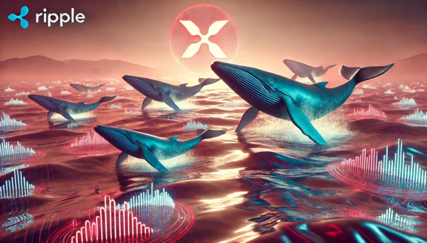 Baleias da Ripple em movimento: XRP pronto para disparar rumo aos US$ 3