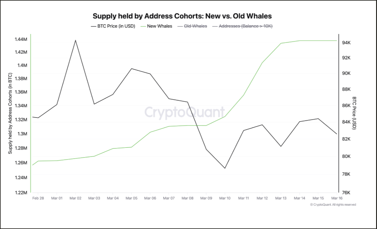 Gráfico: Imagem XRP