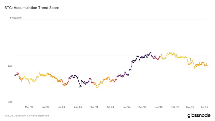 baleias de bitcoin 