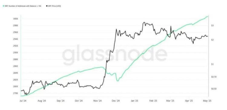 xrp-vai-subir-baleias-compram