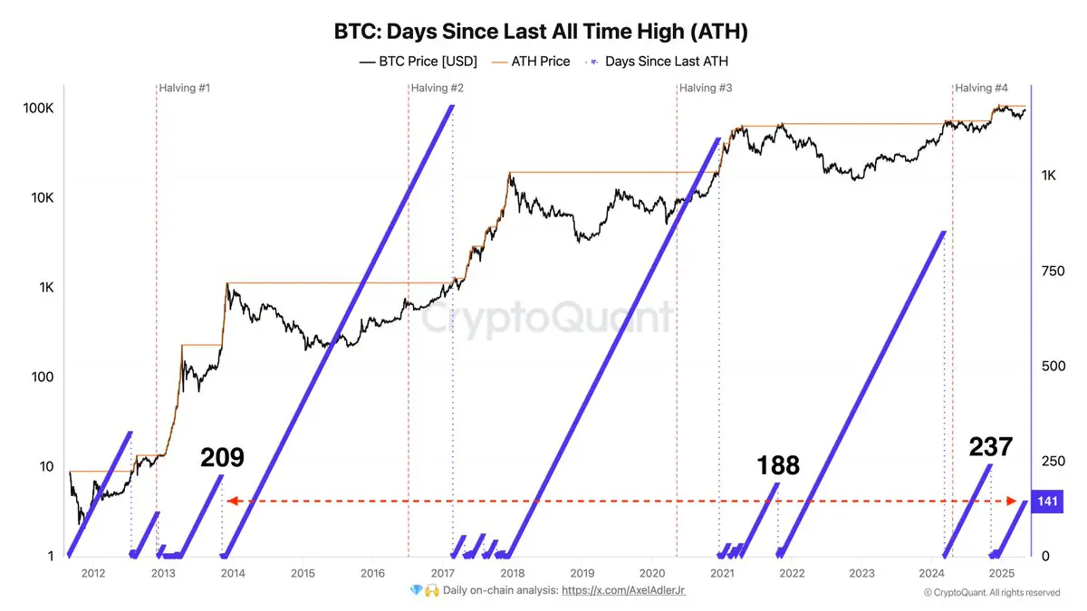 Imagem: Gráfico Bitcoin