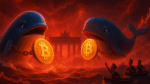 Baleias movem milhões em Bitcoin: Atividade recorde indica possível surpresa no preço