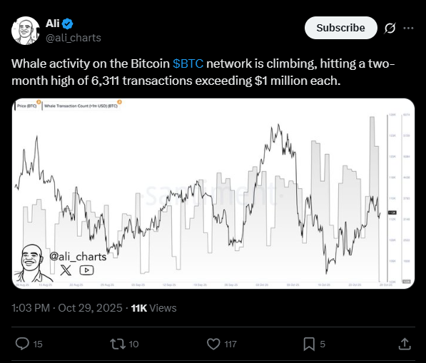 Baleias movem milhões em Bitcoin: Atividade recorde indica possível surpresa no preço