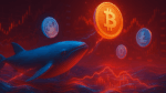 Movimentação misteriosa Atividade das baleias agita criptos antigas e pressiona o Bitcoin