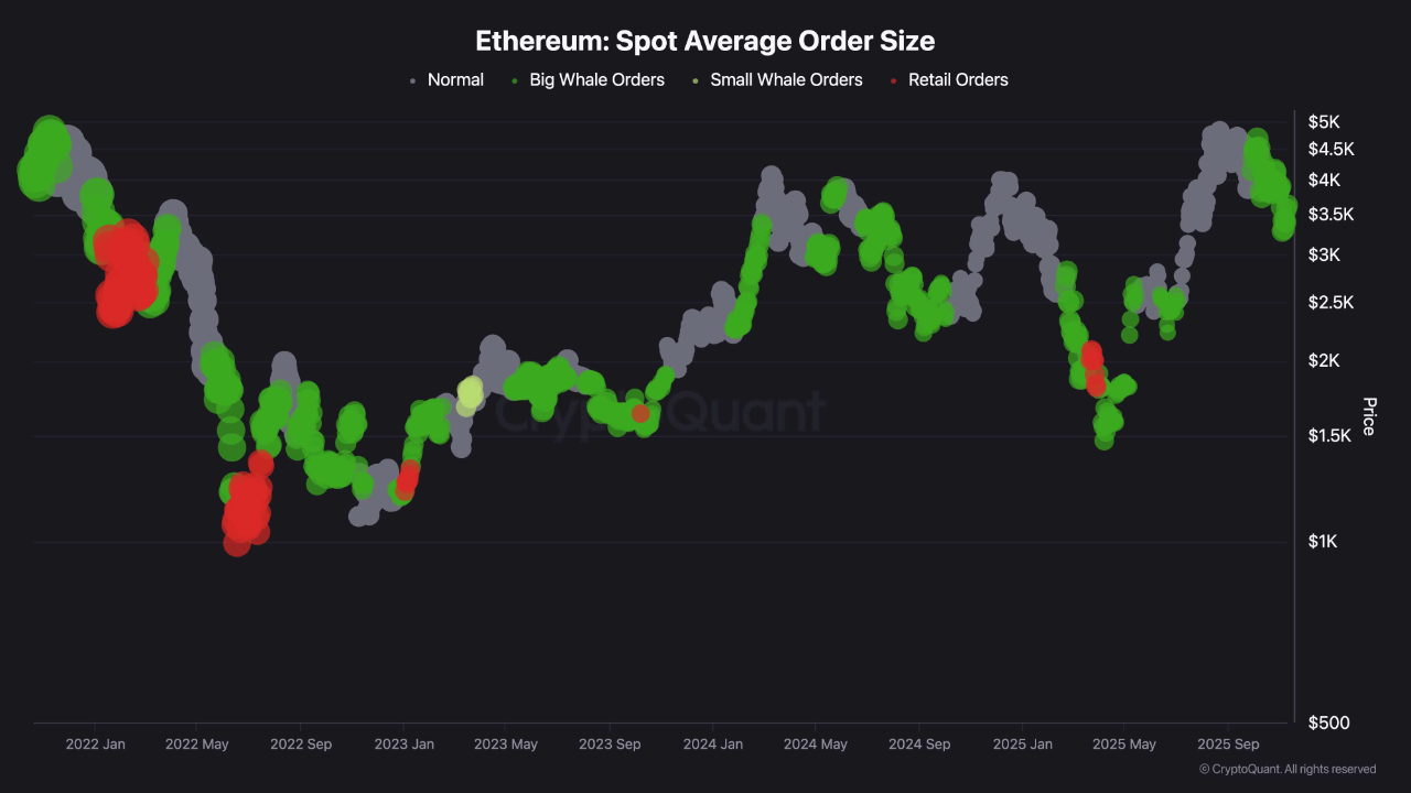 Algo grande está acontecendo: instituições voltam a acumular BTC e ETH em ritmo recorde
