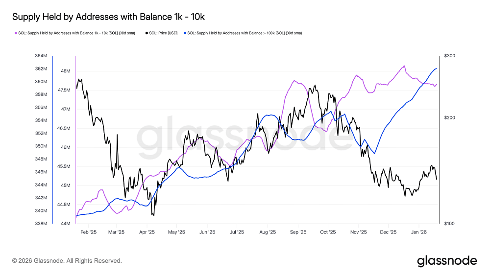 Solana cai abaixo de US$ 130, mas dados on-chain indicam força compradora