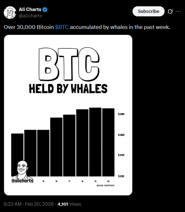 Baleias compram US$ 2 bilhões em Bitcoin em 7 dias e sinalizam possível reversão