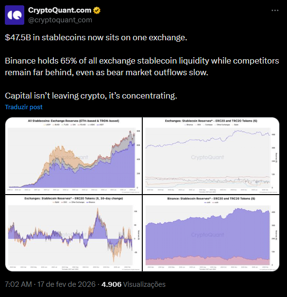 Binance absorve 65% das stablecoins e revela para onde o dinheiro está indo no bear market