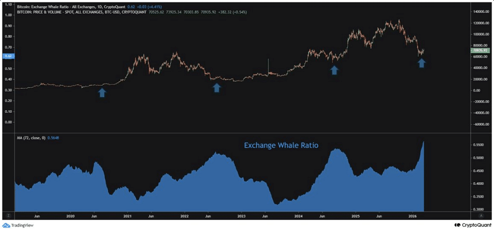 Bitcoin mostra 4 sinais de nova tendência de alta, dizem analistas