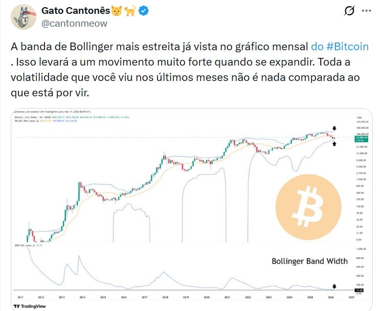 Twitter Cantonese Cat