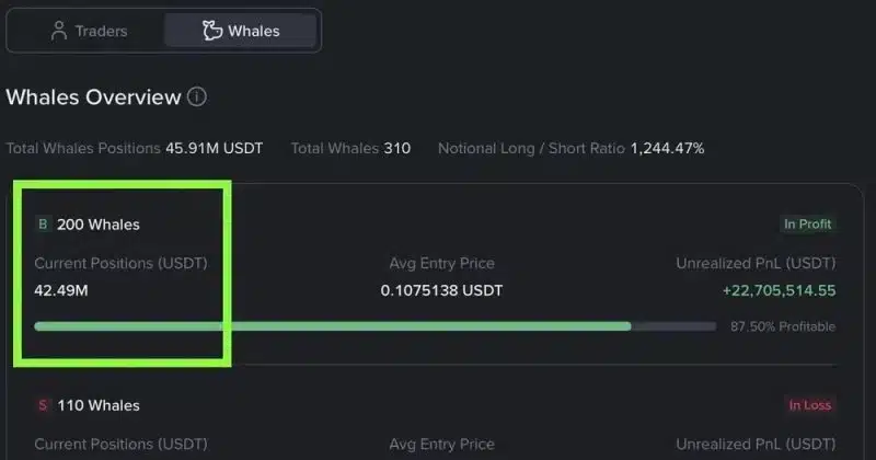 binance perdeu